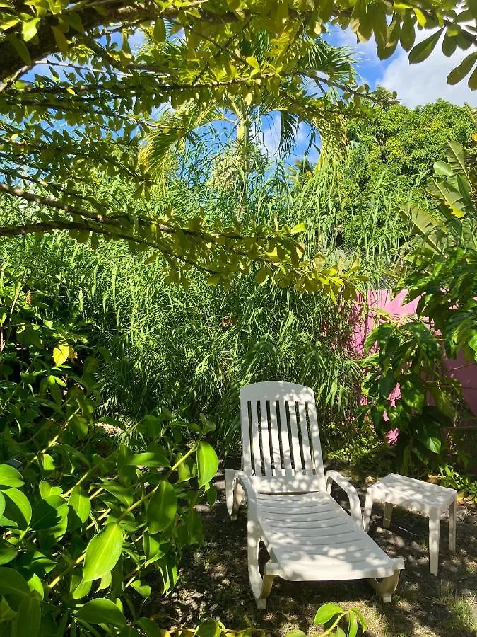 Gîte Zandoli Koko Sainte-Anne