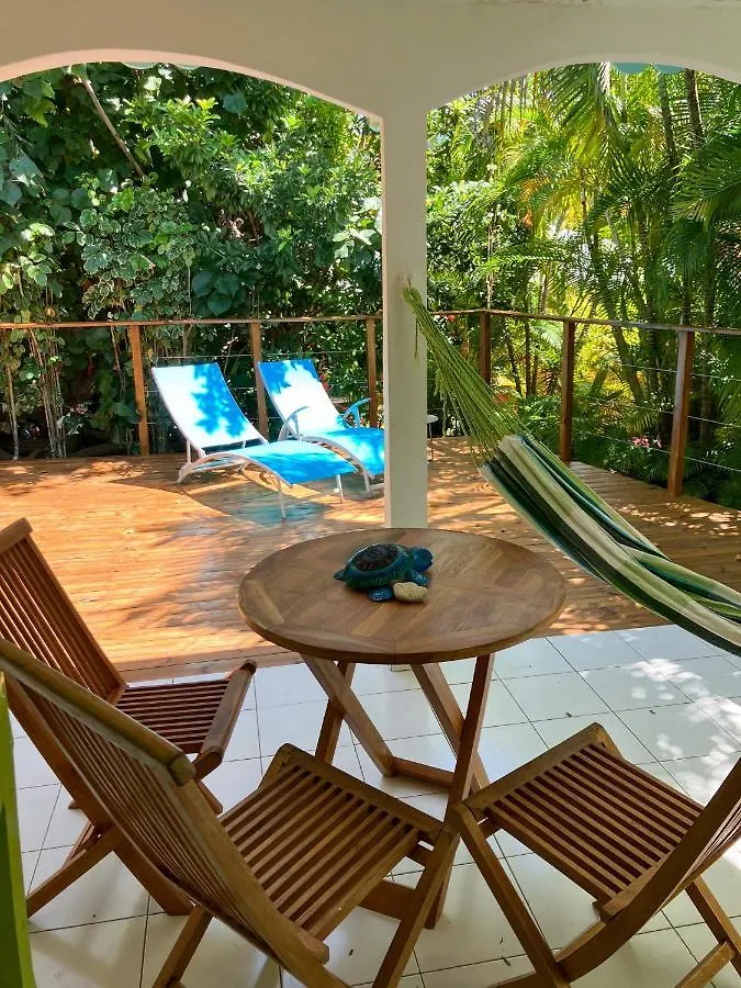 Maison d'hôtes Gîte Zandoli Koko Sainte-Anne