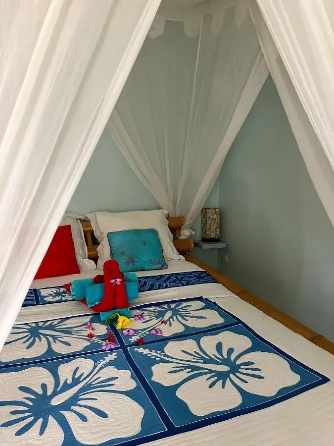 Maison d'hôtes Gîte Zandoli Koko Sainte-Anne