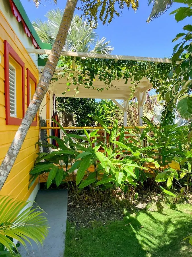 Gîte Zandoli Koko Sainte-Anne  Guadeloupe