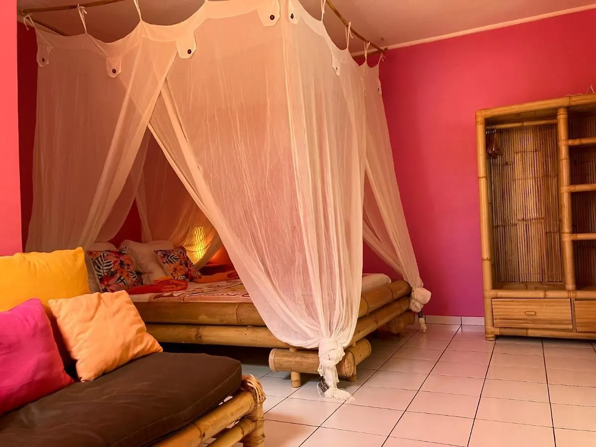 Maison d'hôtes Gîte Zandoli Koko Sainte-Anne  Guadeloupe