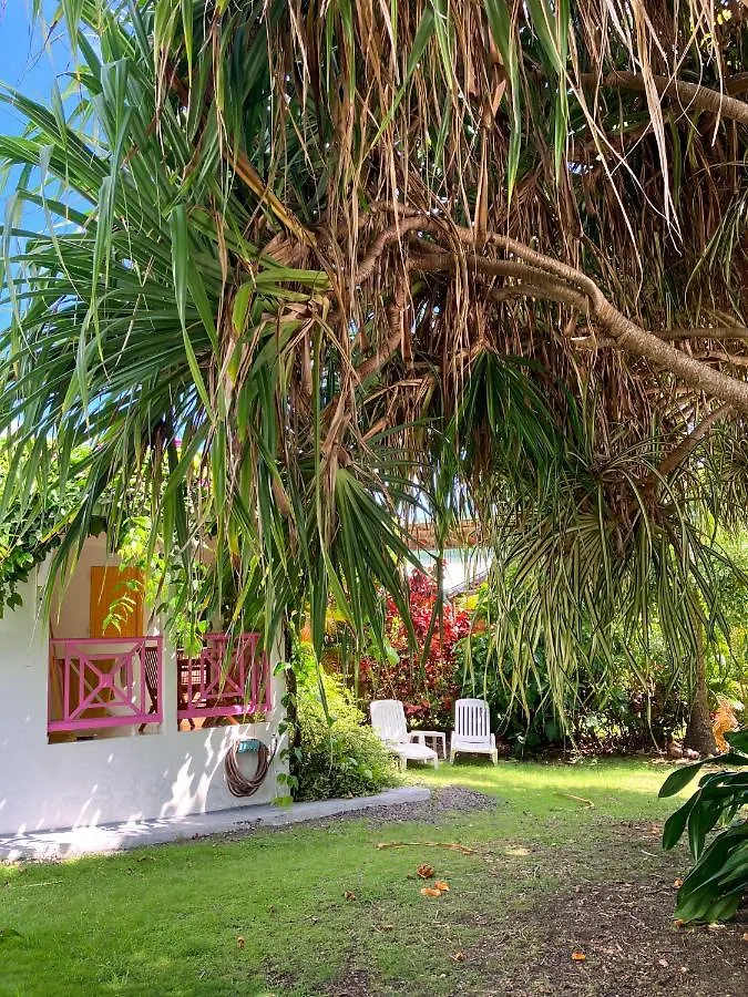 Maison d'hôtes Gîte Zandoli Koko Sainte-Anne  Guadeloupe