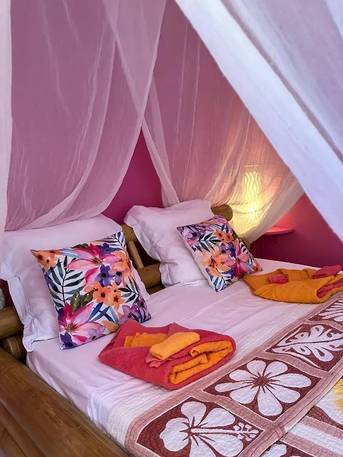 Gite Zandoli Koko Sainte-Anne  Guest house Sainte-Anne (Grande-Terre)